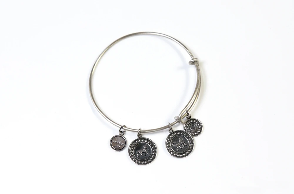 Charming Bracelet "Urartu"